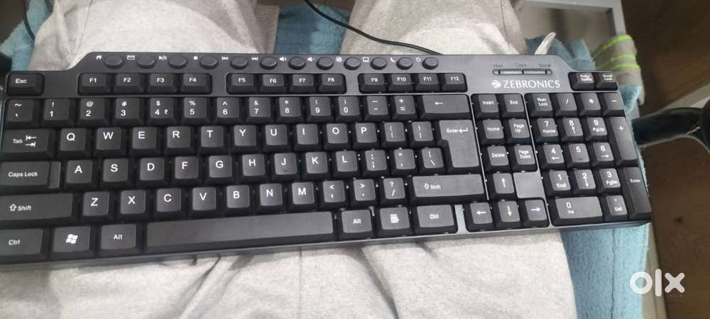 ZEBRONICS ZEB-KM2100 Multimedia USB Keyboard Comes with 114 Keys