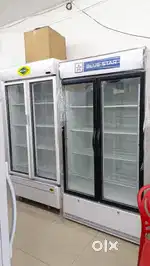 Duble dor visicolor