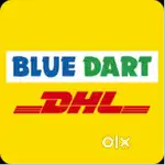 Bluedart Delivery Job