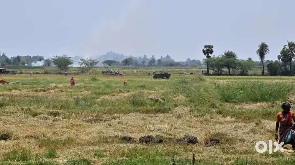 Aggreculture land sale