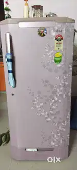Lg fridge single door