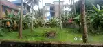 12 cent plot for sale near navodaya kangarappady
