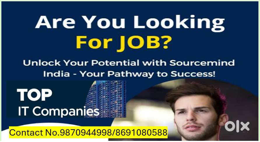 IT professional require