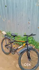 HERO NEXT AND MOMSTAR CHAMPION CYCLE