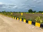 Prime Location Plots Behind NRI Institute of Technology