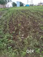 Plot for sale