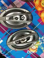 Car 12 inch speakers