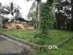 Near pullad junction (Stadium road)
