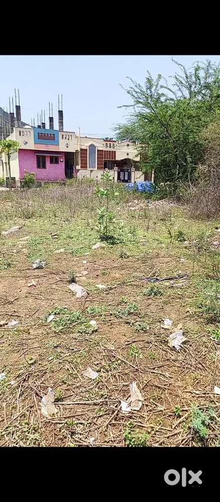 BC colony registered land