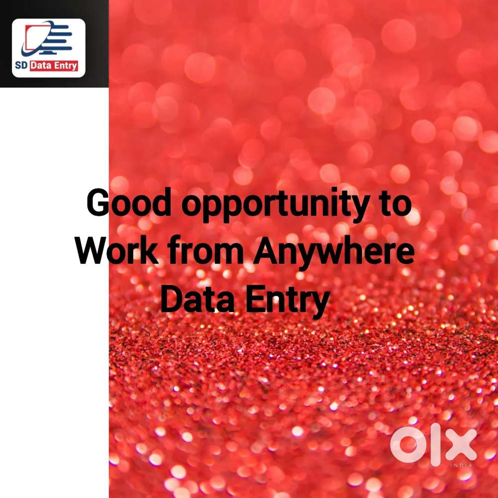 Nice opportunity Data Entry