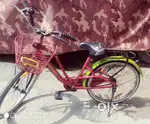 Lady-bird cycle