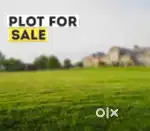 Plot for sell Chopra kala village