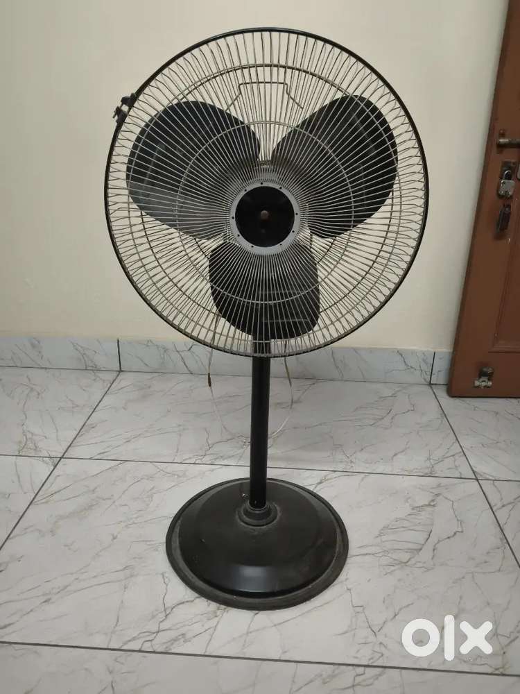 Orient farata 18 inchi all original