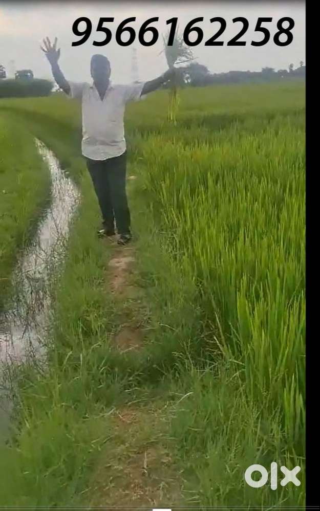 Agricultural land No Road 18 cent NANJAI