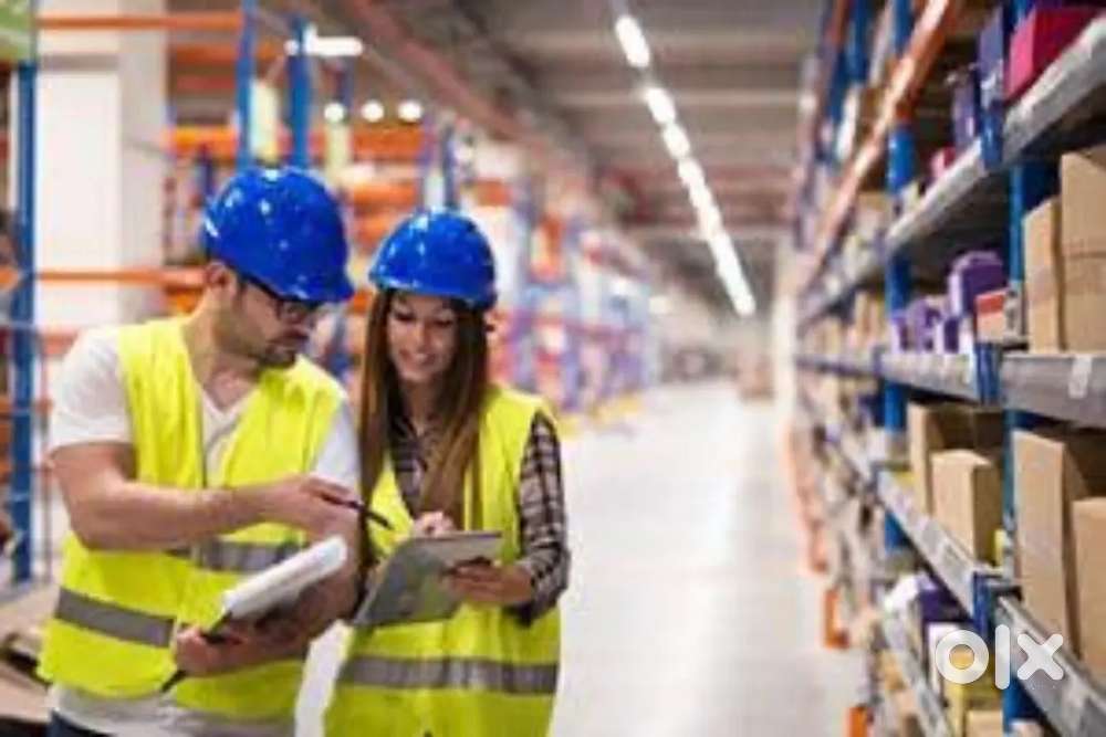 LOOKING FOR FRESHERS AND EXPERIENCED CANDIDATES IN WAREHOUSE COMPANY