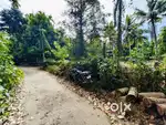 90 Cent Manjaly, Vayalkkara. Tar road frontage.Near bus route1.300 km.