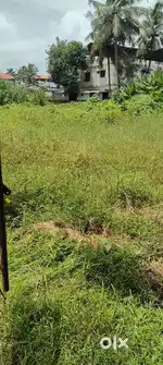 40cent land for Emergency sale at Kadavanthra