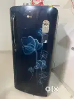 LG 4 star rating fridge single door