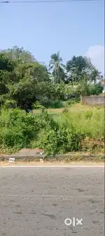 Commerical Land for sale in Kuttanellur, Thrissur