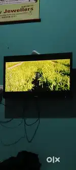 Intex company tv