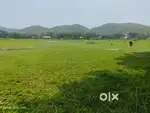 Land for sale near Amingau, Guwahati