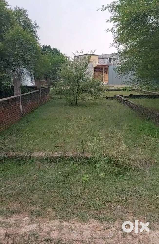 फ्रीहोल्ड दाखिल-ख़ारिज प्लॉट पारा मेन-रोड से केवल 350मी• की दूरी पर