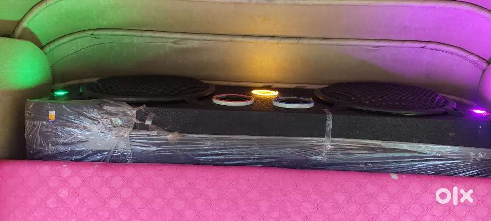12 inches  new deck box super and premium quality 15 days old