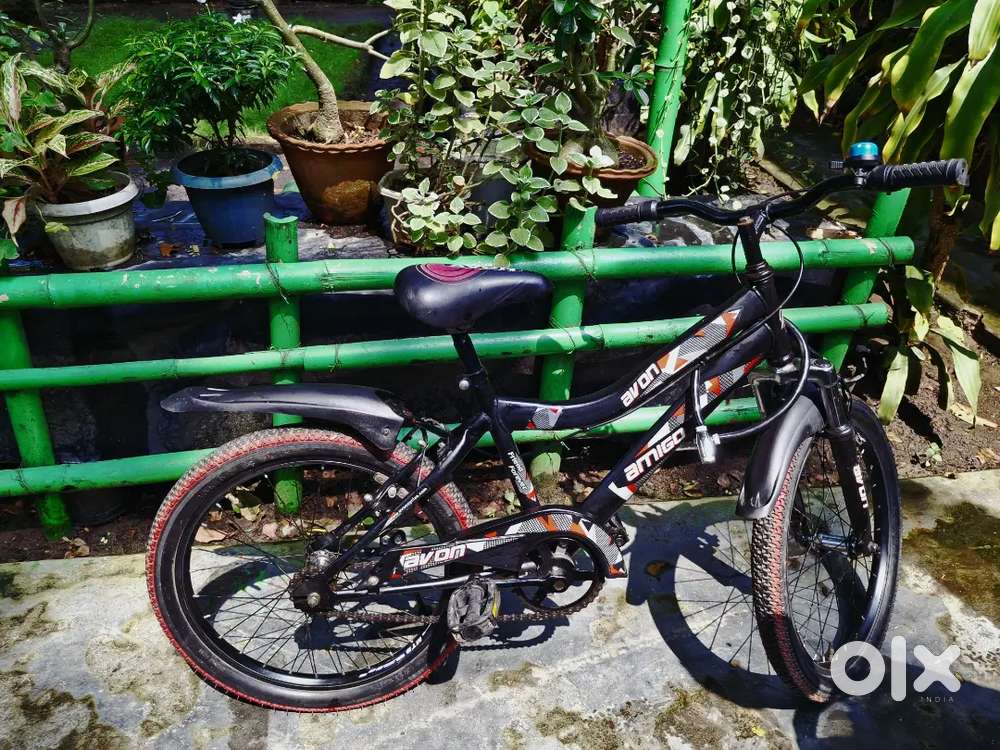 Avon Amigo bicycle