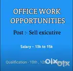 Sales executive,data operator