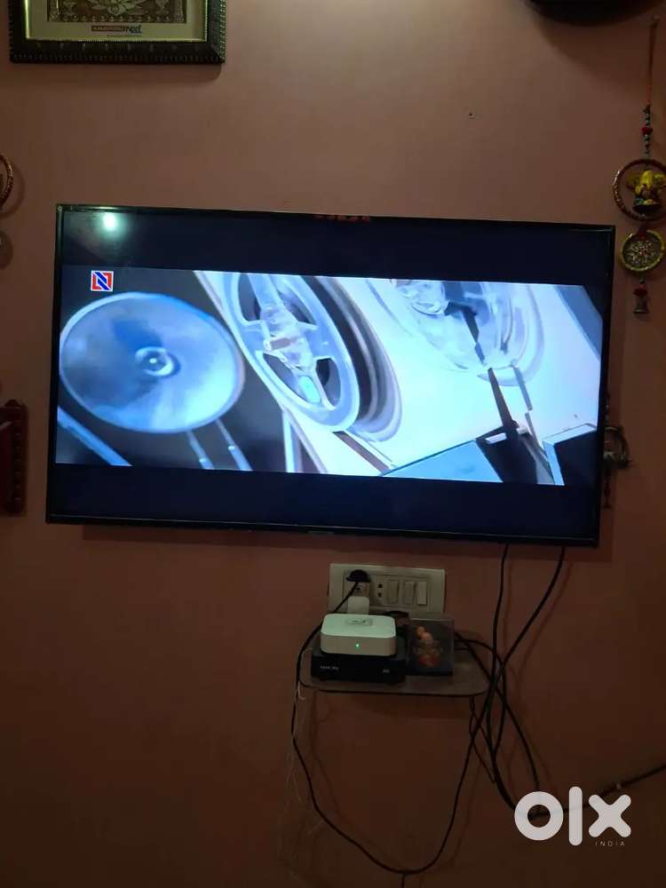 Screen not working