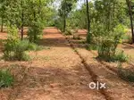 Own your Dream Farmhouse  in a sandalwood farm at Anekal