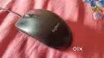 Logitech Optical Mouse at Great Condition