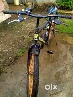 Rootline cycle