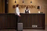Hotel Reception Boy or Girl
