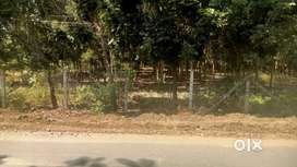 5 Acre 87 Cent, Land For Sale in ikkarai Poluvampatty, Coimbatore.
