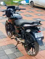 Pulsar 125 2025 model