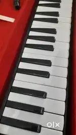 MELODICA Swan 37 keys, Super Condition