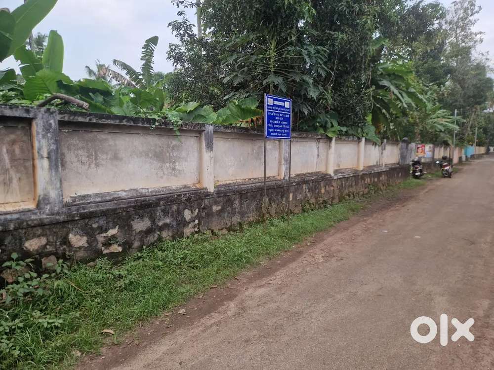 40 cent rectangular plot