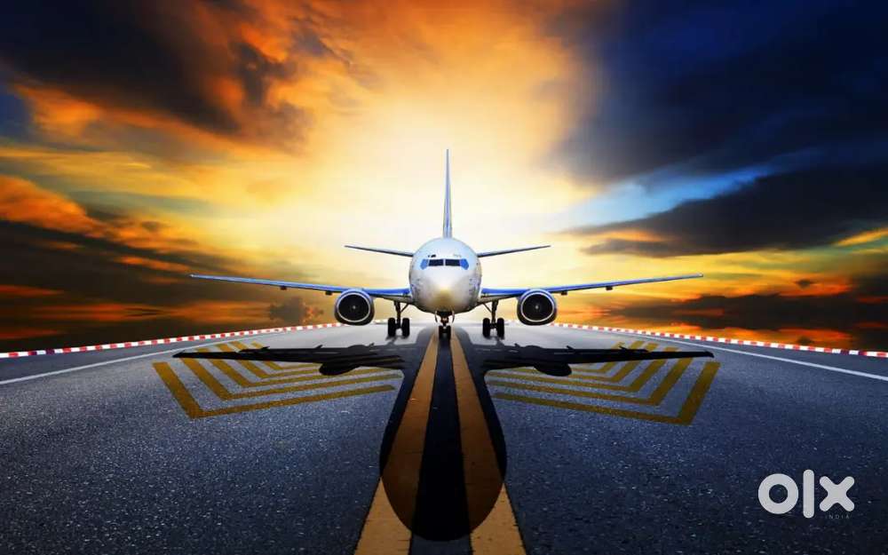 Accountant job in Cargo Warehouse On IGI Airport for Experienced