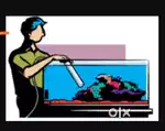 Fish aquarium cleaning services on your door step