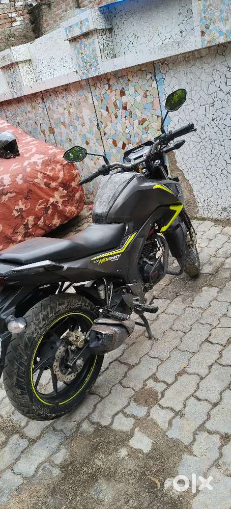 Good bakihornet