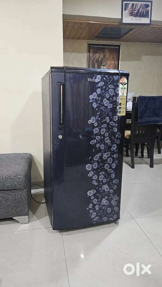 Haier Refrigerator Model HRD-1903/2018