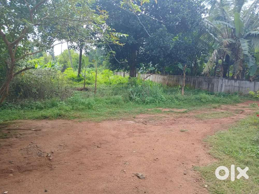 30 cent square plot in noble nagar residential area, kodakara