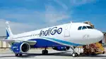 Now We Are Hiring For Ground Staff job in IndiGo Airlines Vacancy
