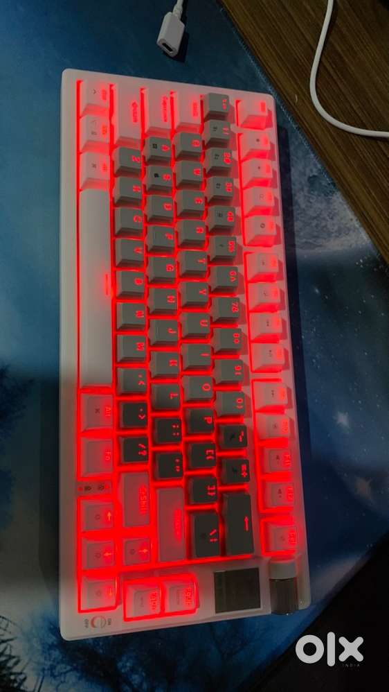 EVOFOX RONIN TKL WIRELESS KEYBOARD