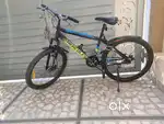 2 Years Old