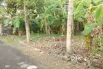House plot near Adichira 8.75 cents 3.50 lakh/cent