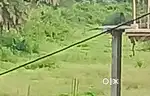 3 decimil plot in baripada main town . near bus stand