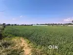 10 acres of land for sale
