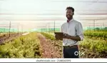 FIELD MANAGER